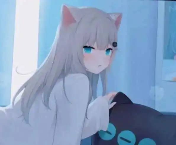 西檬之家k8猫系是什么?你的字母圈属性 一