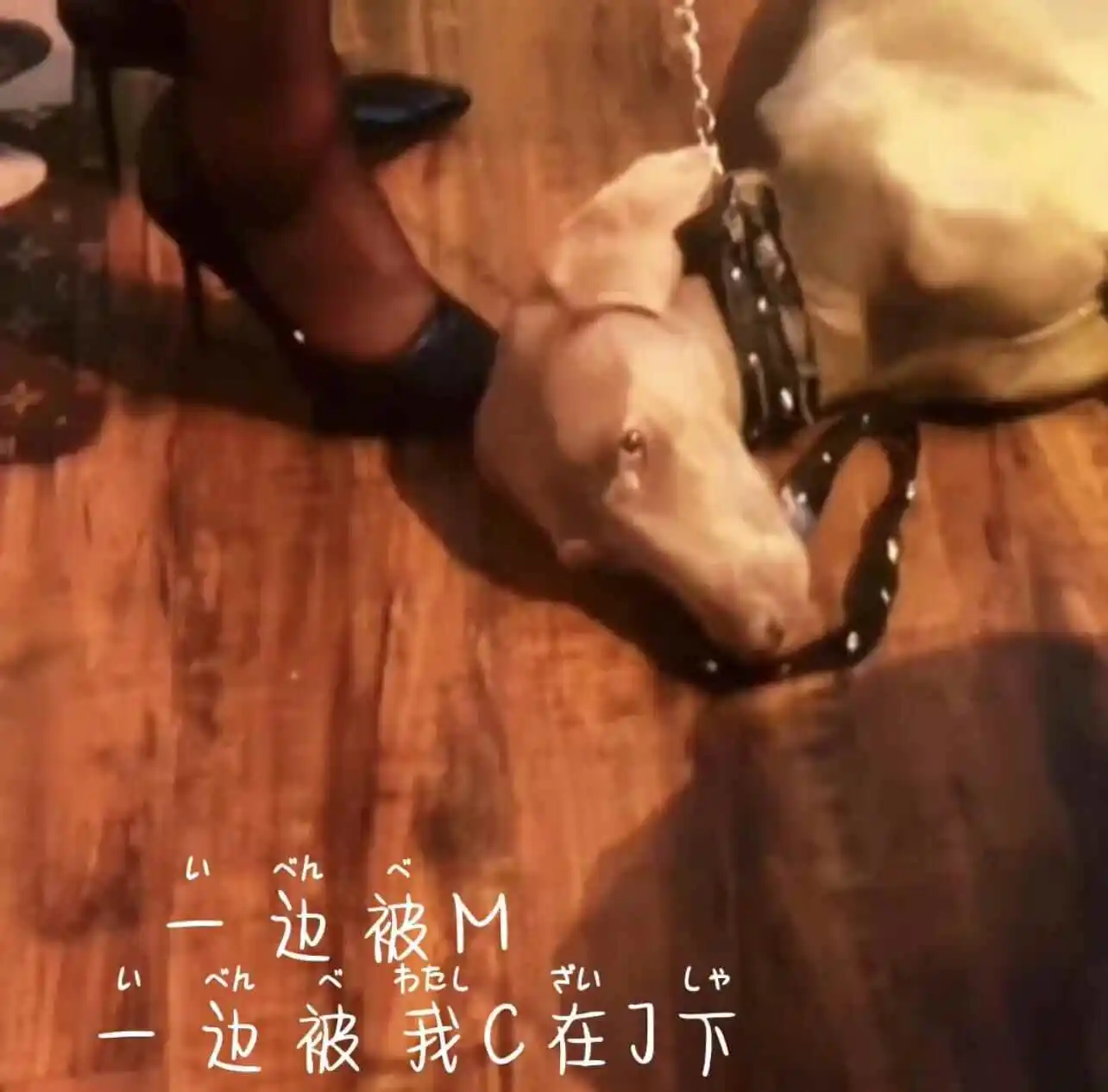 西檬之家sm亚文化是什么? 一