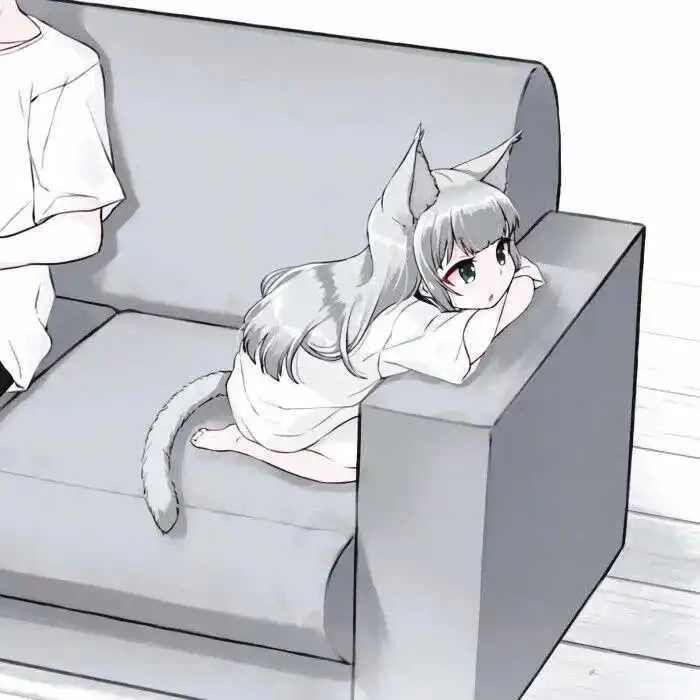 西檬之家k8猫系是什么? 一