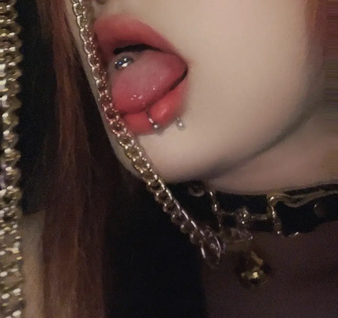 西檬之家k8猫系入坑指南 一