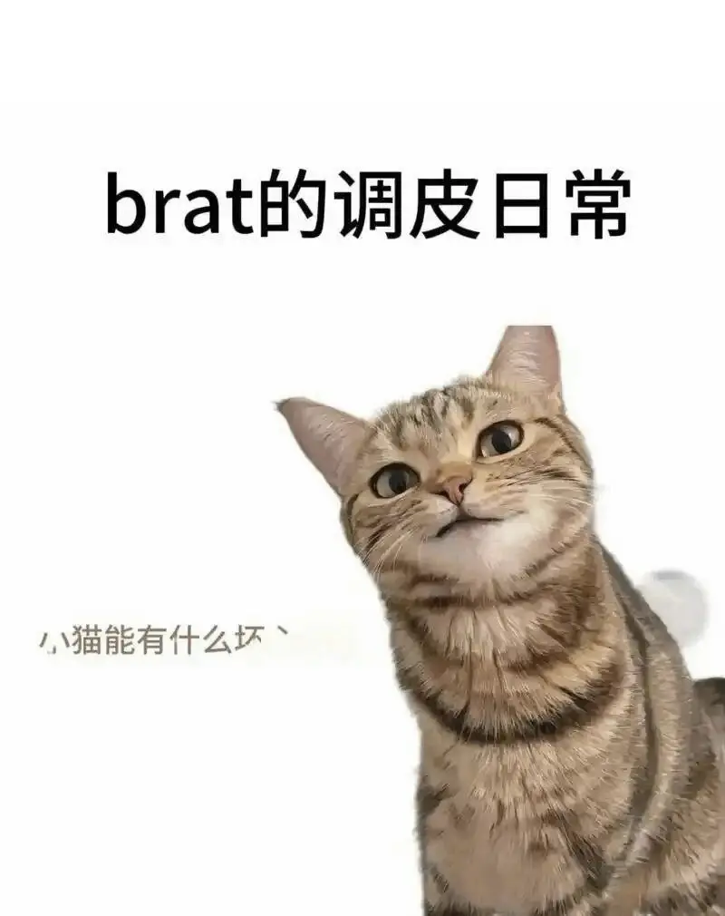 西檬之家字母圈Tickle玩法指南 一