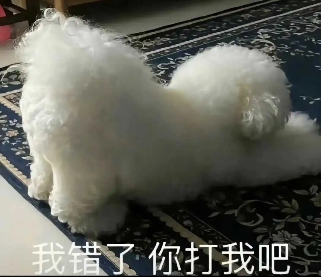 西檬之家sm亚文化的真相 一