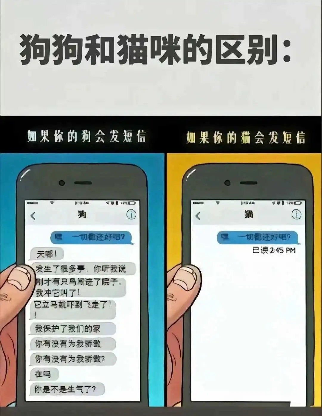 西檬之家字母圈的brat属性是什么? 一