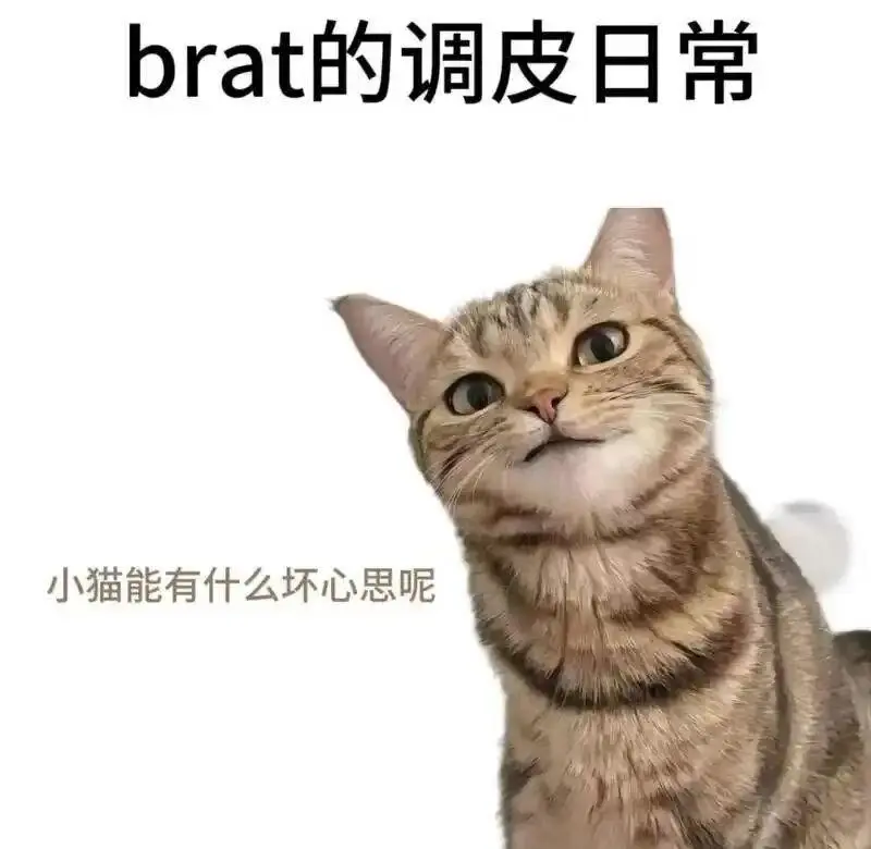 西檬之家字母圈s倾向是什么? 一