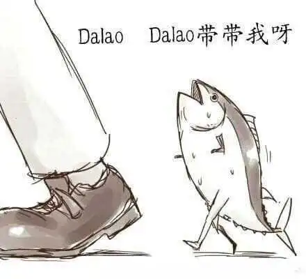 西檬之家字母圈K9是什么? 一
